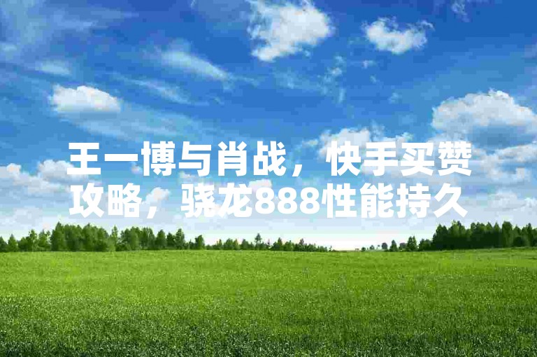 王一博与肖战，快手买赞攻略，骁龙888性能持久。