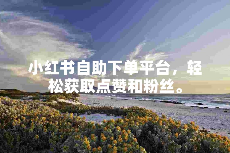 小红书自助下单平台，轻松获取点赞和粉丝。