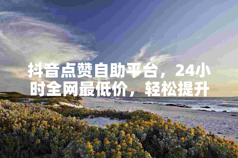 抖音点赞自助平台，24小时全网最低价，轻松提升作品热度。