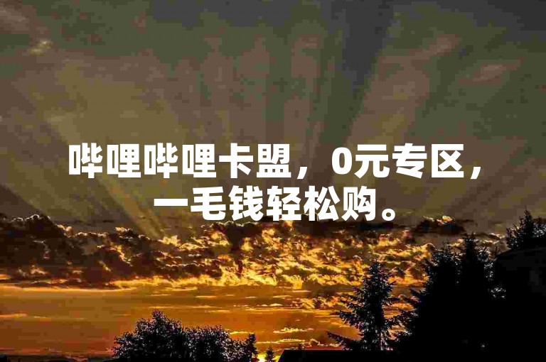 哔哩哔哩卡盟，0元专区，一毛钱轻松购。
