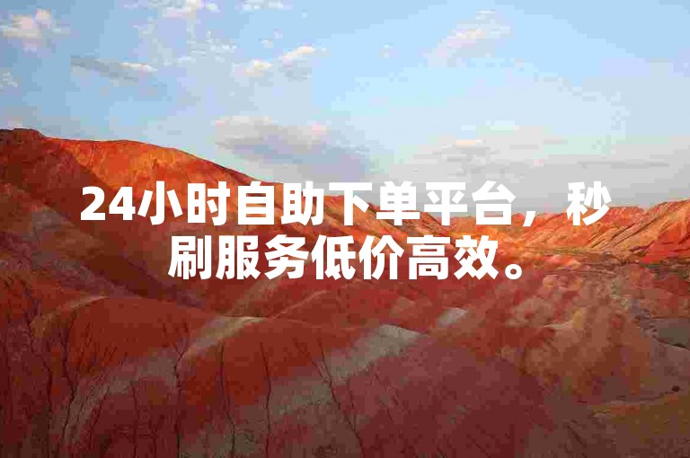 24小时自助下单平台，秒刷服务低价高效。