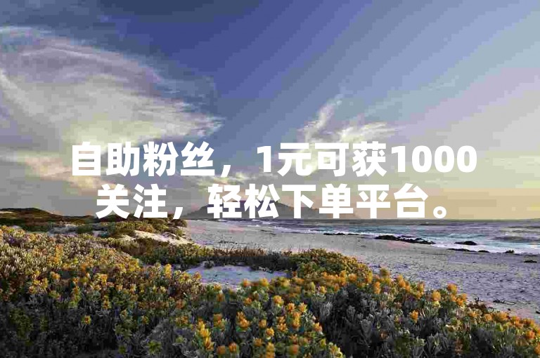 自助粉丝，1元可获1000关注，轻松下单平台。