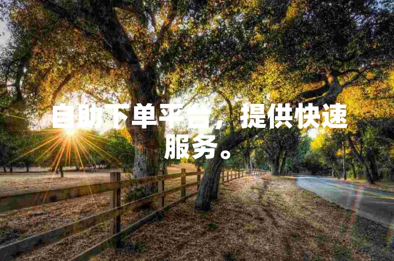 自助下单平台，提供快速服务。