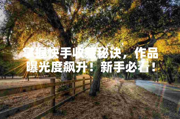 掌握快手收藏秘诀，作品曝光度飙升！新手必看！