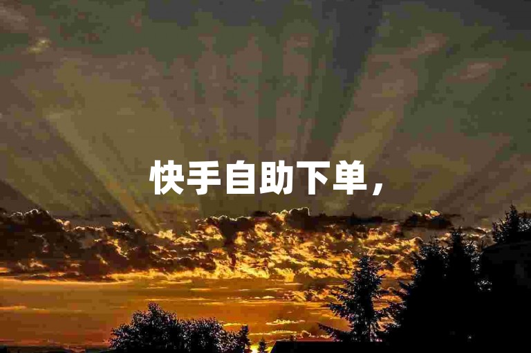 快手自助下单，5毛轻松搞定。