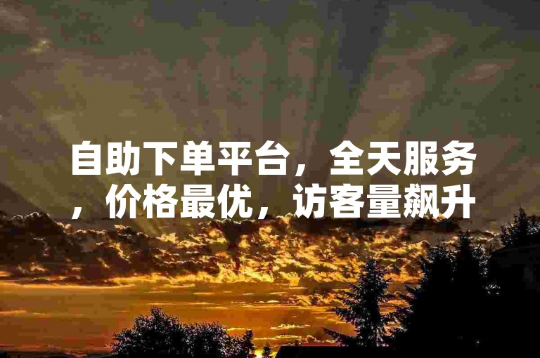 自助下单平台，全天服务，价格最优，访客量飙升。