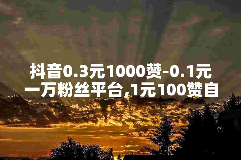 抖音0.3元1000赞-0.1元一万粉丝平台,1元100赞自助下单网站