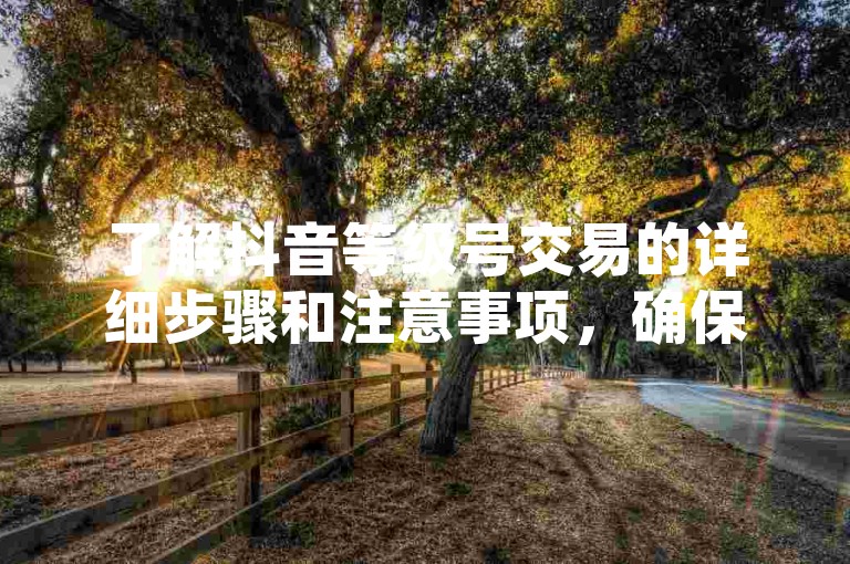 了解抖音等级号交易的详细步骤和注意事项，确保安全合法。