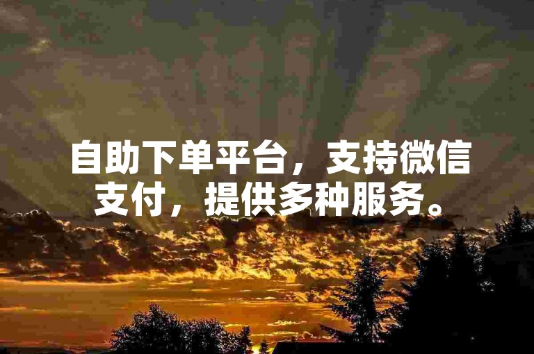 自助下单平台，支持微信支付，提供多种服务。