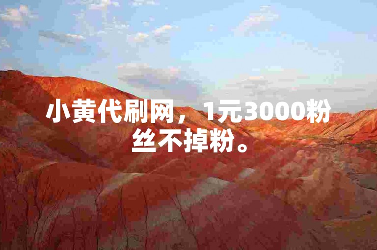 小黄代刷网，1元3000粉丝不掉粉。