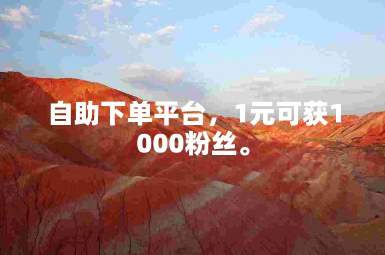 自助下单平台，1元可获1000粉丝。