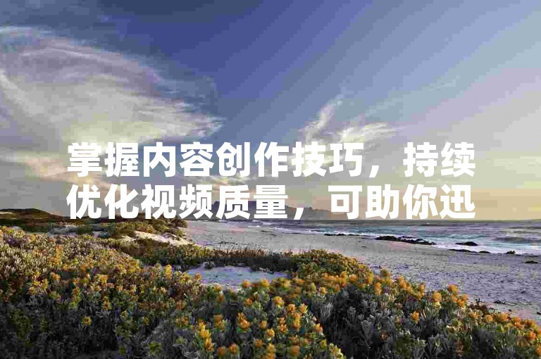掌握内容创作技巧，持续优化视频质量，可助你迅速积累粉丝。