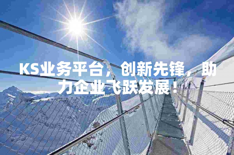 KS业务平台，创新先锋，助力企业飞跃发展！