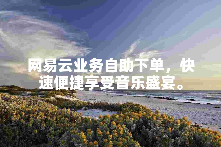 网易云业务自助下单，快速便捷享受音乐盛宴。