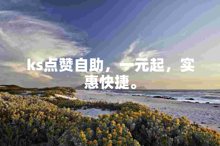 ks点赞自助，一元起，实惠快捷。