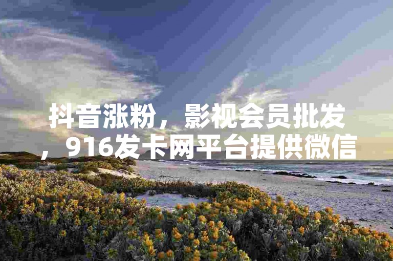 抖音涨粉，影视会员批发，916发卡网平台提供微信支付服务。