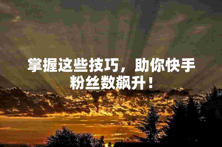 掌握这些技巧，助你快手粉丝数飙升！