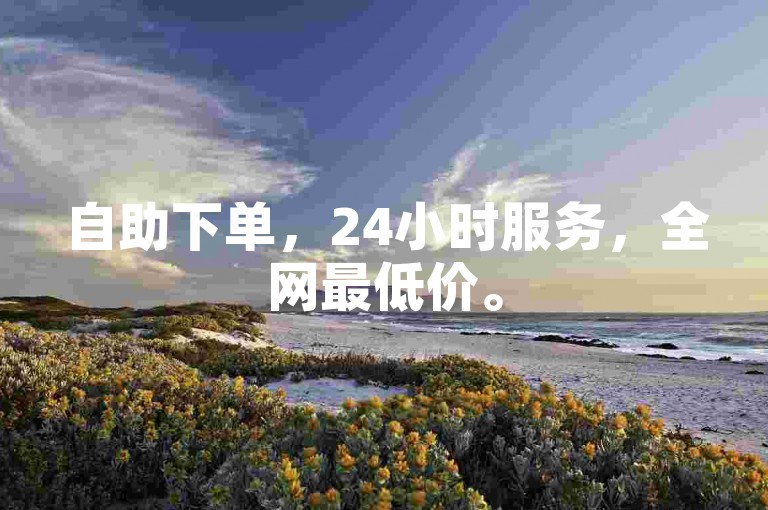 自助下单，24小时服务，全网最低价。