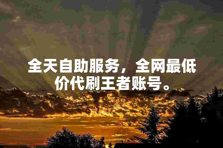 全天自助服务，全网最低价代刷王者账号。
