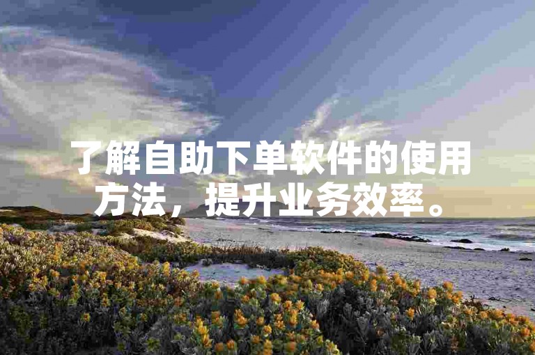 了解自助下单软件的使用方法，提升业务效率。