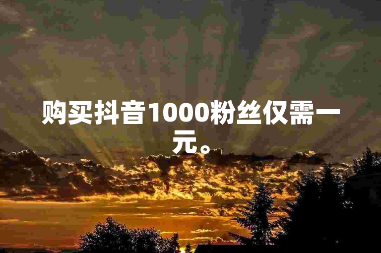 购买抖音1000粉丝仅需一元。