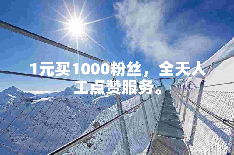 1元买1000粉丝，全天人工点赞服务。