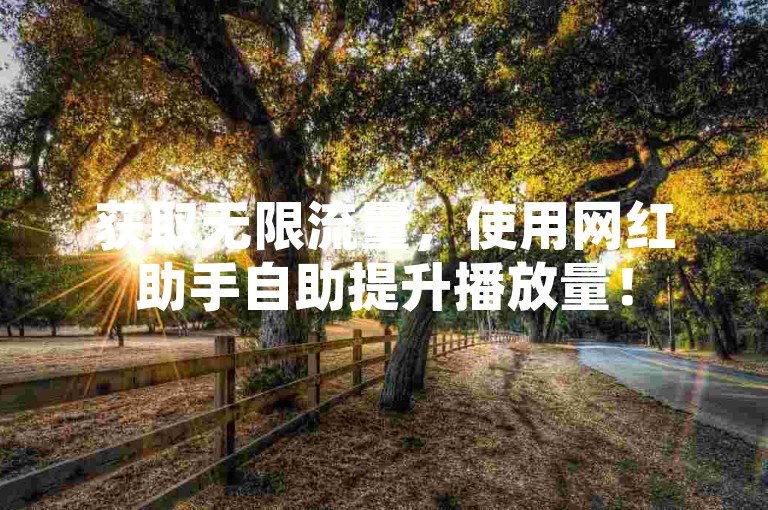 获取无限流量，使用网红助手自助提升播放量！