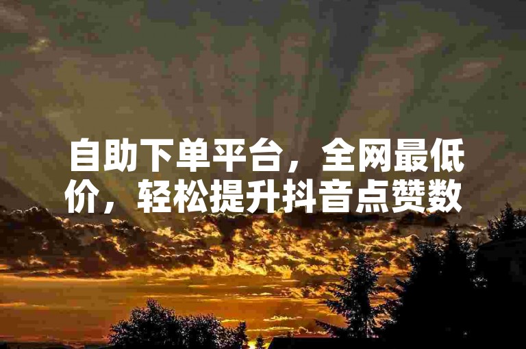 自助下单平台，全网最低价，轻松提升抖音点赞数。