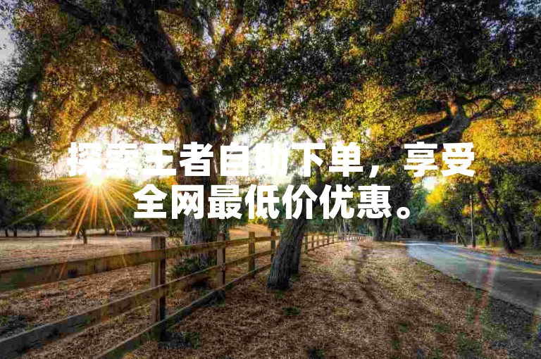 探索王者自助下单，享受全网最低价优惠。