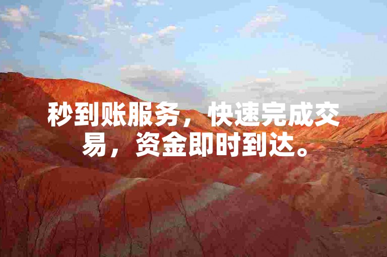 秒到账服务，快速完成交易，资金即时到达。