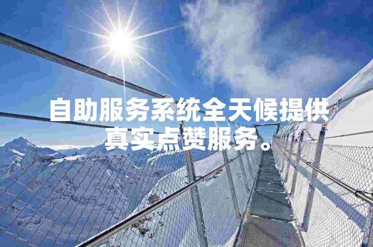 自助服务系统全天候提供真实点赞服务。