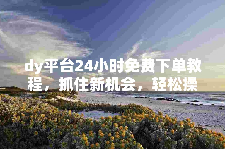 dy平台24小时免费下单教程，抓住新机会，轻松操作！