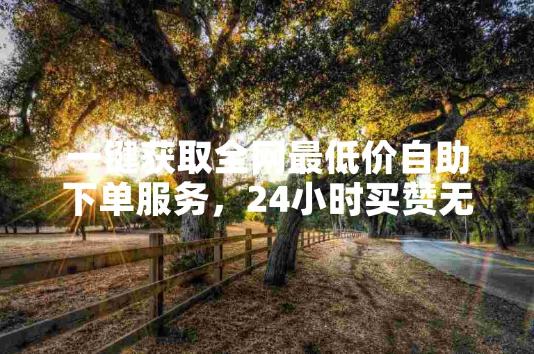 一键获取全网最低价自助下单服务，24小时买赞无忧。