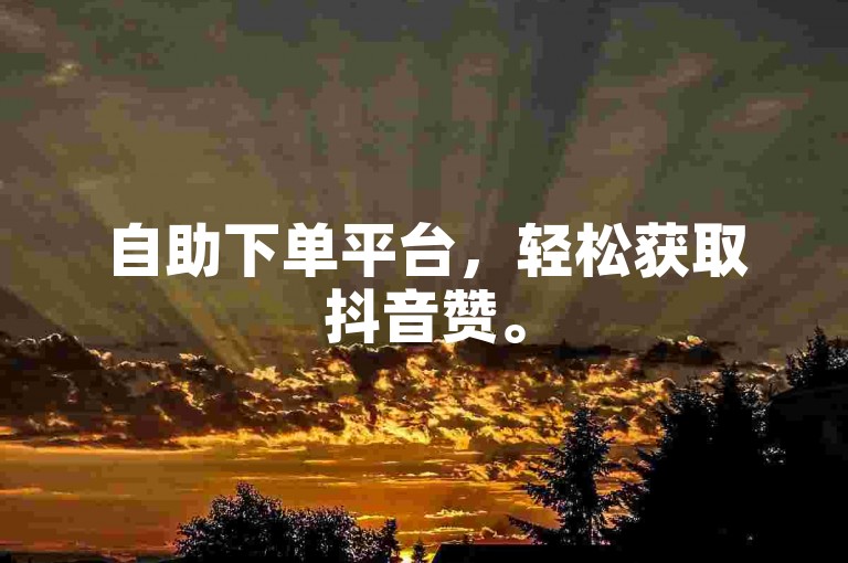 自助下单平台，轻松获取抖音赞。