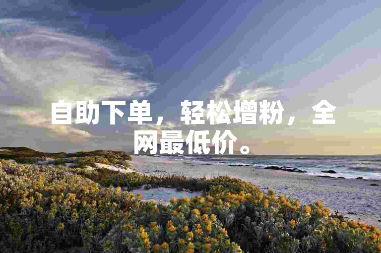 自助下单，轻松增粉，全网最低价。
