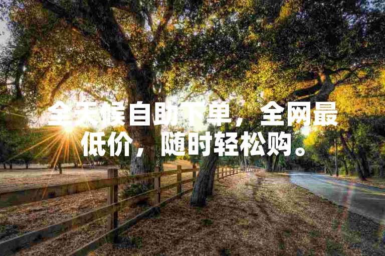 全天候自助下单，全网最低价，随时轻松购。
