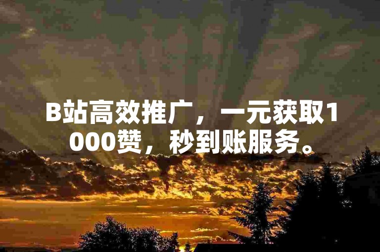 B站高效推广，一元获取1000赞，秒到账服务。