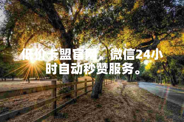 低价卡盟官网，微信24小时自动秒赞服务。