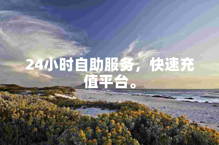 24小时自助服务，快速充值平台。