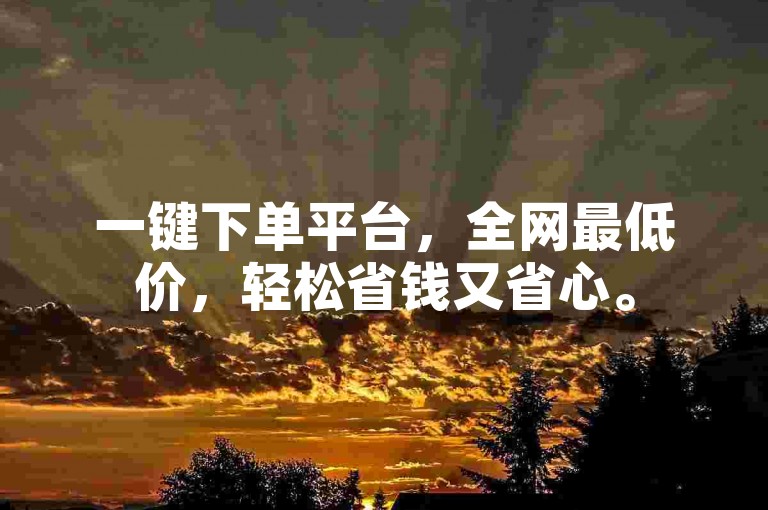 一键下单平台，全网最低价，轻松省钱又省心。