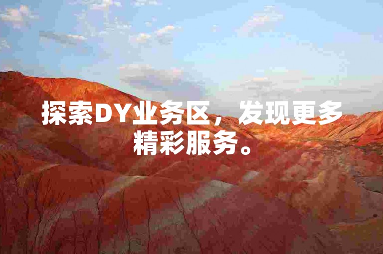 探索DY业务区，发现更多精彩服务。