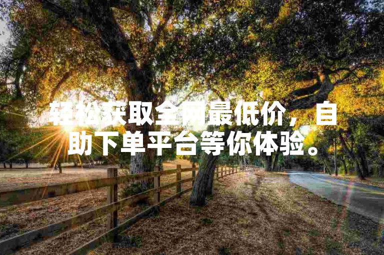 轻松获取全网最低价，自助下单平台等你体验。