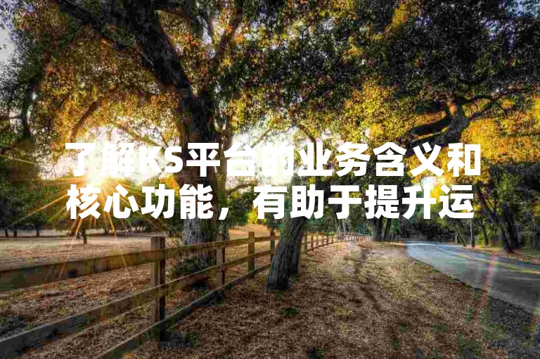 了解KS平台的业务含义和核心功能，有助于提升运营效率。