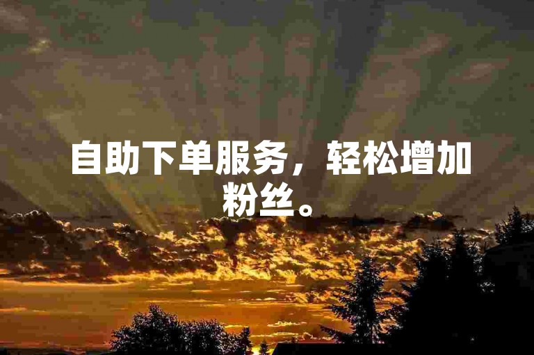 自助下单服务，轻松增加粉丝。