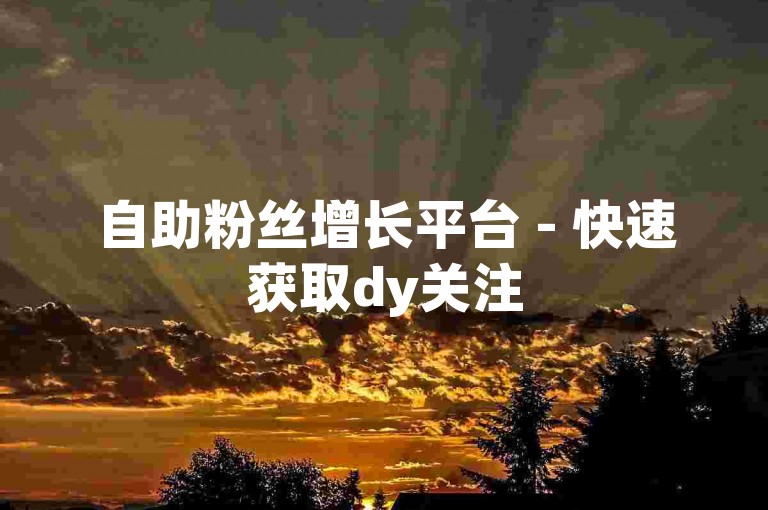 自助粉丝增长平台 - 快速获取dy关注