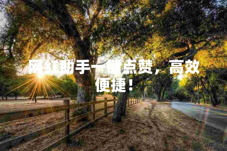 网红助手一键点赞，高效便捷！