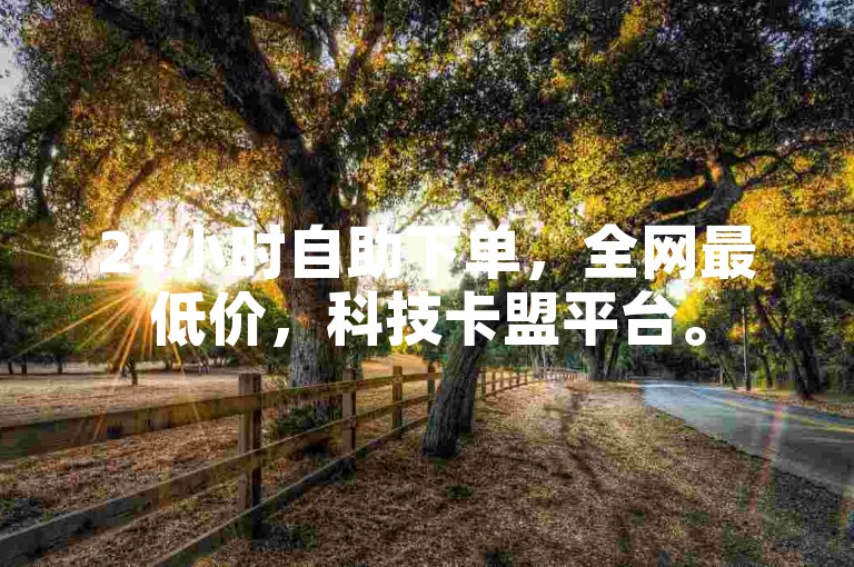 24小时自助下单，全网最低价，科技卡盟平台。