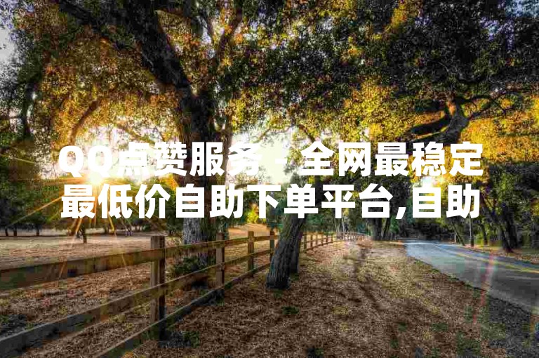QQ点赞服务 - 全网最稳定最低价自助下单平台,自助云商城快手下单 - 自助下单