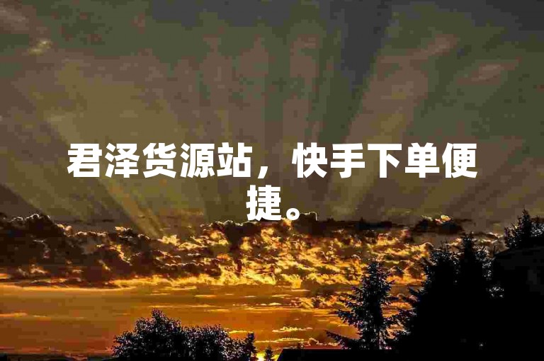 君泽货源站，快手下单便捷。