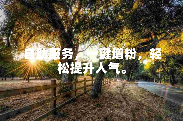自助服务，一键增粉，轻松提升人气。